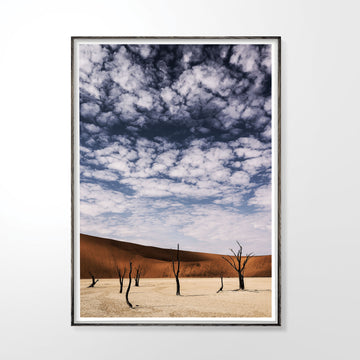 Deadvlei #3